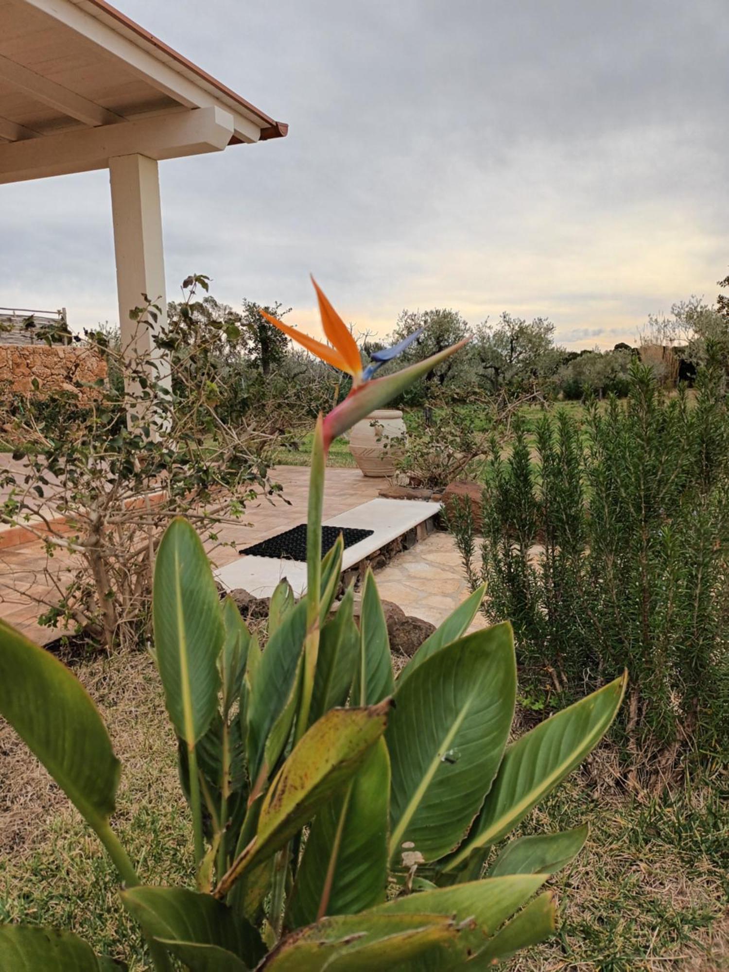 Villa Aratha โอโรเซย ภายนอก รูปภาพ